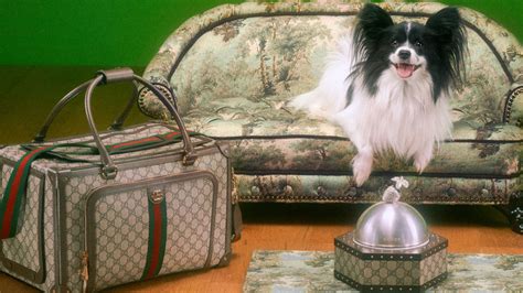 dog in gucci handbag|Gucci Launches First Pet Collection of Collars, Leashes, Beds .